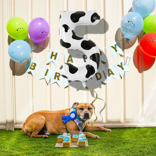 Vista 4 de Globo con estampado de vaca, decoración de fiesta de cumpleaños, globo número 5 de 40 pulgadas para 5º cumpleaños, suministros de fiesta de vaquera