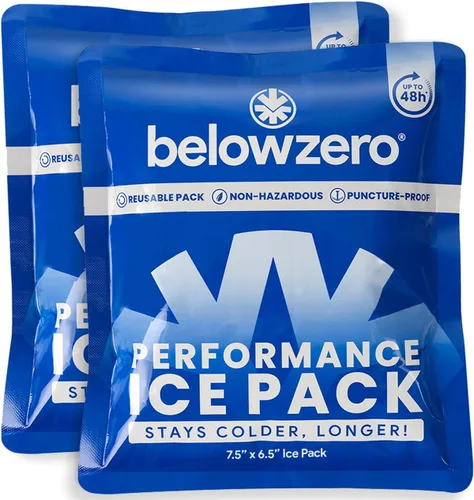 Vista 10 de Below Zero Paquetes de hielo precargados reutilizables para enfriadores Bloques de hielo de congelador de larga duración para acampar, bolsas