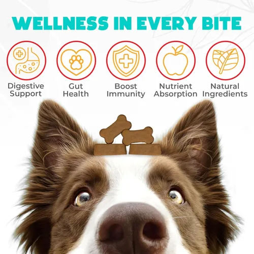 Vista 2 de Probióticos masticables para perros, 150 unidades, masticables probióticos para perros con enzimas e ingredientes naturales, apoyo para la salud
