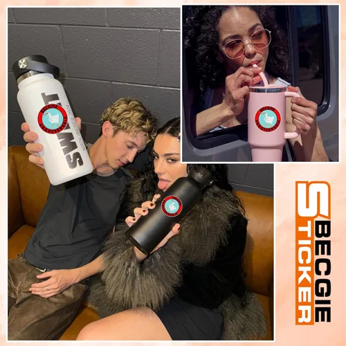 Vista 4 de Calcomanías de ganso ingobernable, regalos divertidos para casco, calcomanías de excavadora, calcomanías de vinilo impermeable para botella de agua