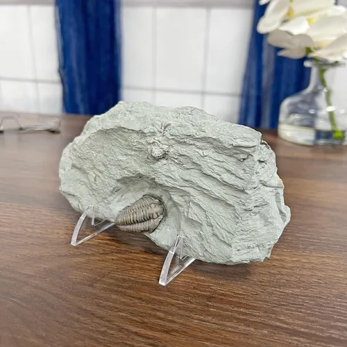 Vista 4 de GIBSON HOLDERS 1PL - Caballete de exhibición de alambre blanco ajustable y acrílico transparente, 2.75 pulgadas de ancho x 3.75 pulgadas