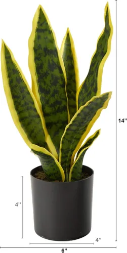 Vista 2 de Nearly Natural Sansevieria - Planta artificial de serpiente alta de 14 pulgadas, planta de serpiente sintética amarilla para decoración