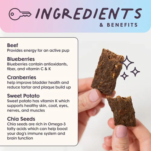 Vista 5 de Bundle x Joy Correa y carga de carne seca de res para perros - Bolsa de 5 Oz, superalimento natural - Golosinas de res sin maíz, aves, soja y granos