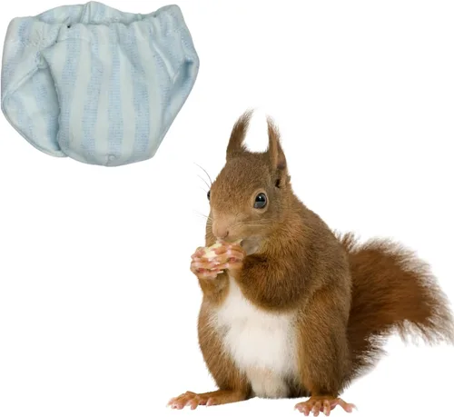 Vista 9 de Pañales lavables de ardilla – Pañales de tela reutilizables extra pequeños para mascotas, altamente absorbentes, a prueba de fugas, pantalones 3