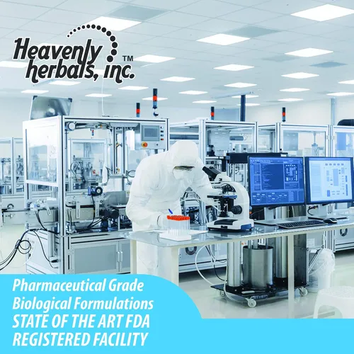 Vista 6 de Bacopa Drops - Mejora la concentración de memoria, enfoque - Extracto de Bacopa Monnieri Suplemento cerebral Suplemento de memoria Mejora