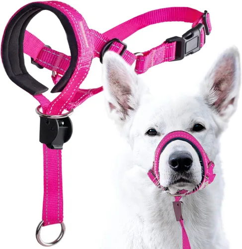 Vista 14 de GoodBoy - Cabestro con correa de seguridad para cabeza de perro, evita que se tiren de la correa, con acolchado para tamaños pequeños, medianos