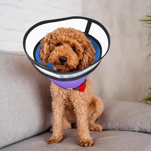 Vista 5 de Conos para perros medianos y grandes, alternativa de collar de cono suave para después de la cirugía