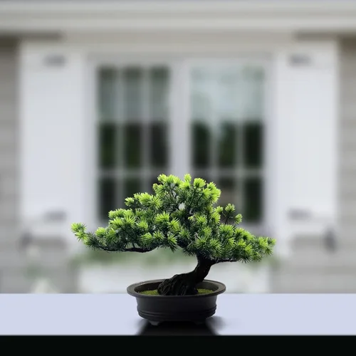 Vista 4 de Árbol bonsái de enebro artificial para decorar interiores para casa u oficina