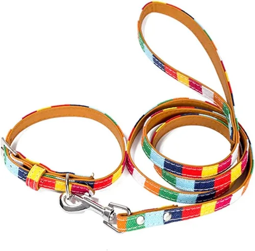 Vista 2 de Collar de perro XS, collar de cuero para perro, juego de correa y collar personalizado, para pequeños, seguro y cómodo (S)