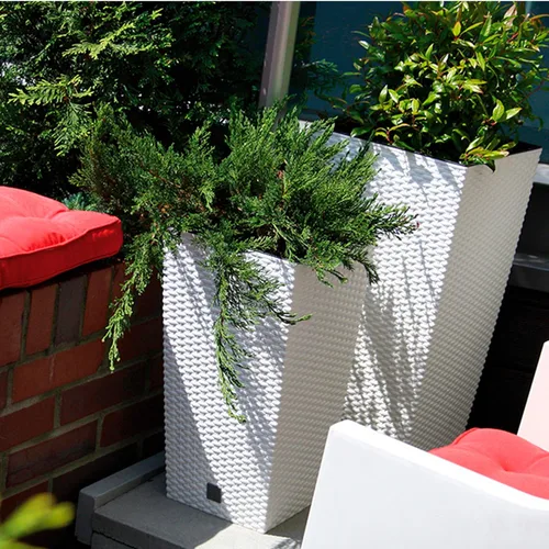 Vista 5 de WELLHOME - Juego de 3 macetas altas (11,4/26,6/49 litros), color antracita