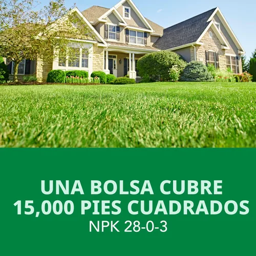Vista 10 de Scotts Turf Builder Weed & Feed3, Herbicida Plus Fertilizante para Césped, Controla Diente de León y Trébol, 15,000 pies cuadrados, 42.87 libras.