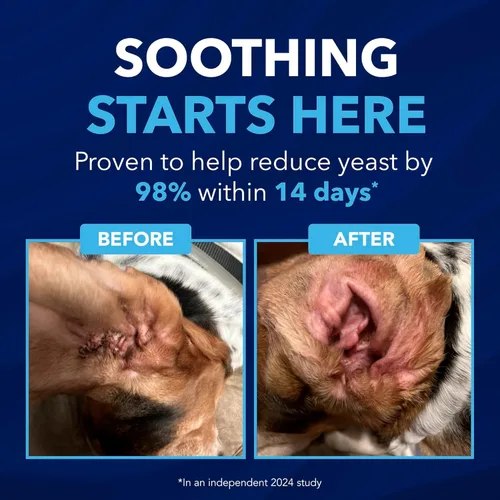 Vista 4 de TropiClean OxyMed - Limpiador enzimático de oídos para perros, tratamiento para perros, solución de limpieza de oídos recomendada por veterinarios