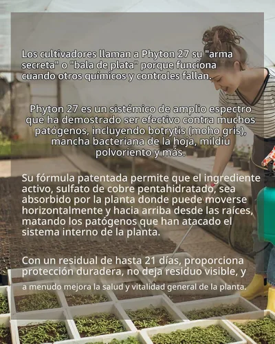 Vista 2 de Phyton 27 Bactericida sistémico y fungicida de 2 onzas