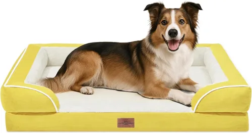 Vista 243 de Comfort Expression - Cama ortopédica para perros pequeños, 20 x 14 pulgadas, cama impermeable y de apoyo de espuma con cojines removibles, sofá