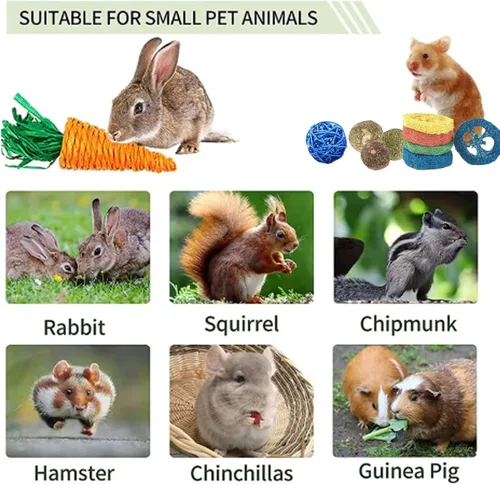 Vista 5 de Grddaef 18 piezas de juguetes de conejo, juguetes de conejo, conejillo de indias, juguete natural de madera de manzana, hierba, palitos de Timothy