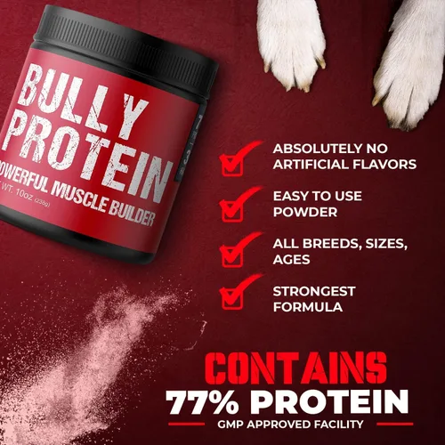 Vista 4 de Práctico polvo de proteína de carne real para perros 283 mg de proteína pura en polvo para todas las razas de perros Nutrición diaria