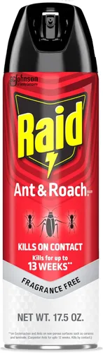 Raid Asesino de hormigas y cucarachas, sin fragancia, 17.5 onzas