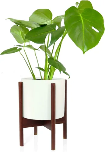 Vista 8 de Fox & Fern - Soporte moderno de medio siglo para maceta, sin maceta de cerámica blanca