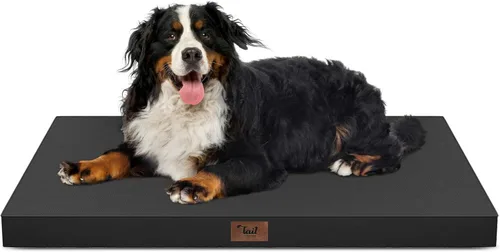 Vista 80 de Cama para perros y gatos pequeños, impermeable, para jaula de huevos, espuma ortopédica con funda Oxford lavable y extraíble, color verde Amy