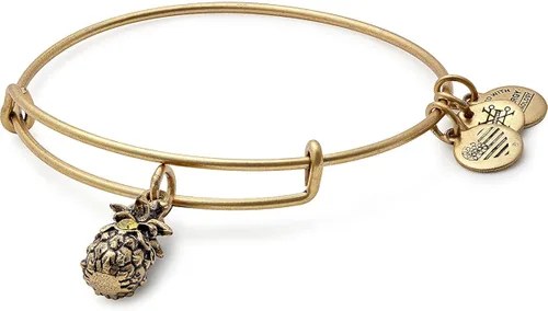 Alex and Ani Path of Symbols Expandable Bangle for Women, Pineapple Charm, Rafaelian Finish, 2 to 3.5 in