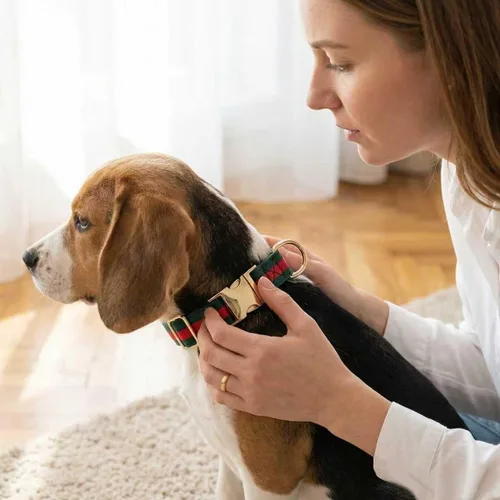 Vista 3 de Collar de perro de alta calidad, lindos collares de lujo para perros, collares duraderos para mascotas con hebilla de metal de seguridad para perros