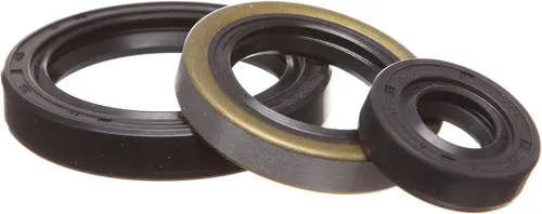 REPLACEMENTKITS.COM - Marca compatible con Polaris 1996-2013 400 y 500 Sportsman Scrambler Ranger & Magnum Kit de sello de aceite de motor -