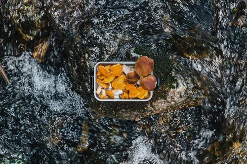 Vista 7 de Sigg - Lonchera de Metal Plus - Envase de alimentos con compartimentos - Diseño suizo - Apto para lavavajillas - Ultra ligero - T/G