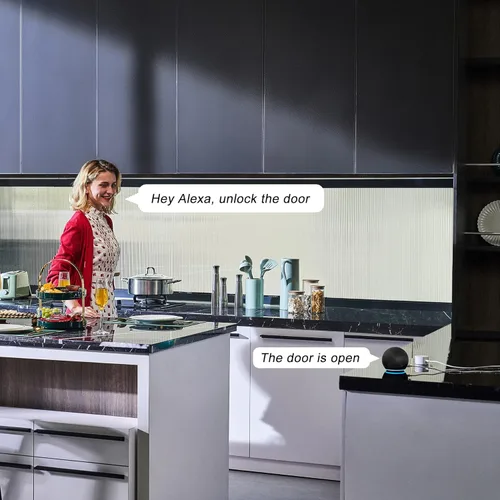 Vista 5 de Lockin Puerta de enlace Wi-Fi y componente de bloqueo electrónico para controlar remotamente su cerradura inteligente y caja de bloqueo inalámbrica