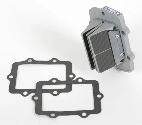 Moto Tassinari V-Force/Moto Tassinari Delta 2 Cañas Atv