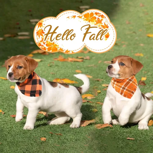 Vista 7 de Kytely Bandana de otoño para perro, paquete de 2 unidades de bandanas de Halloween para perro de Acción de Gracias, bufanda naranja a cuadros