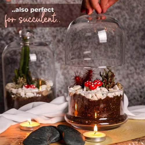 Vista 7 de Multipurpose Glass Storage Jar with Lid, Avocado, Lemon, Onion, Tomato Keeper/Saver/Holder, Home & Kitchen Organizer (1 Pcs with Glass Lid)