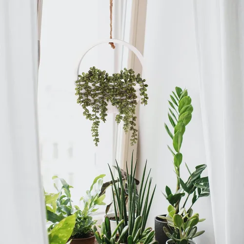 Vista 8 de Floweroyal 2pcs Plantas Suculentas Artificiales Colgantes 20.1'' Cadena de Perlas Falsas en Maceta con Cordón de 9.4'' para Decoración de Pared