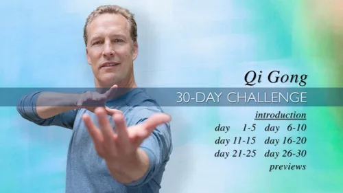 Vista 4 de Qi Gong 30-Day Challenge with Lee Holden Dvd (Ymaa) **2024** Perfect Qi gong Dvd for Beginners **Bestselling Qigong Dvd**