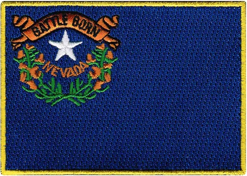 Vista 49 de Parche Bordado de la Bandera del Estado de Minnesota, Emblema MN, Planchado, Versión 2024