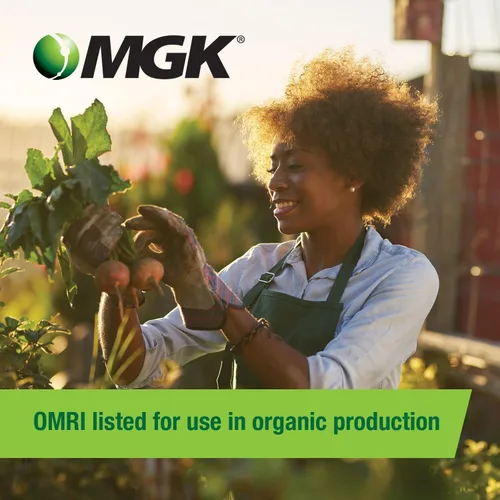 Vista 2 de MGK EverGreen Concentrado de piretro Listado OMRI para producción orgánica Spray insecticida de piretrina Para aplicaciones en interiores