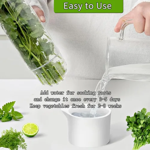 Vista 3 de Conservador de hierbas para refrigerador, vaina conservadora de hierbas, recipientes de cilantro para refrigerador, conservador de hierbas frescas