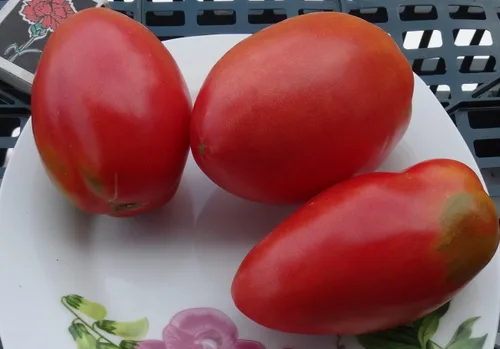 Vista 5 de Semillas Verduras Tomate en Forma de Pimienta - 25 Semillas