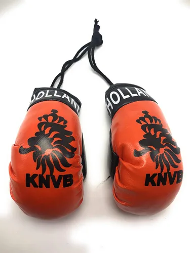Vista 52 de Mini Guantes de Boxeo Colgantes para Espejo de Coche (Argentina)