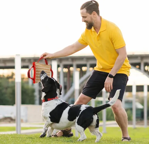 Vista 2 de Libima 2 almohadas para perros con asas fuertes, herramientas de entrenamiento de tira y afloja, almohadilla de lino para cachorros, jóvenes