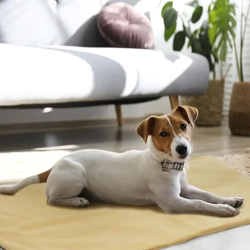 Vista 3 de GOTOQOMO - Almohadilla térmica para mascotas de 20 x 32 pulgadas, material de PVC, impermeable, con cable resistente a las mordidas, almohadillas