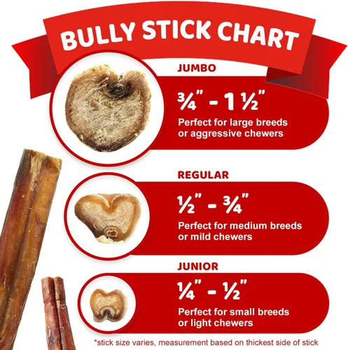 Vista 7 de Downtown Pet Supply Bully Sticks - Golosinas dentales y masticables para perro tiras de carne natural premium de 6 y 12pulgadas extra gruesas sin