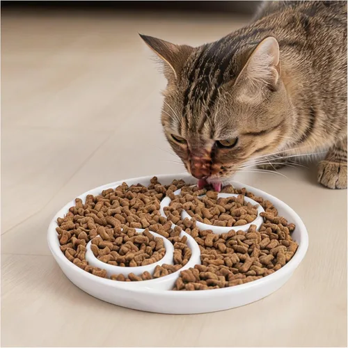 Vista 8 de Comedero lento de cerámica para gatos, plato de apertura poco profunda
