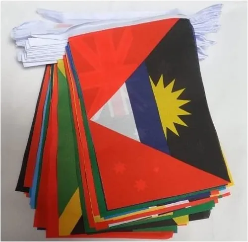 Vista 111 de Guatemala 19.7 ft BUNTING Flag 20 banderas 9'' x 6'' - Banderas de cuerda guatemalteca 5.9 x 8.3 in - AZ FLAG