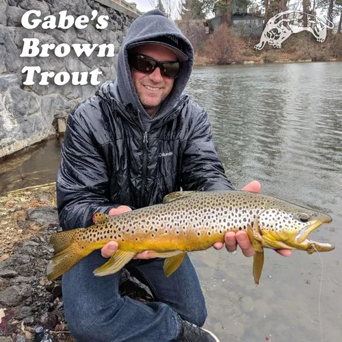 Vista 3 de Panther Martin Fishing Lures 6-Pack All Time Greatest Fish Catcher World Famous Spinning Lures in Value Kit Spinners for Trout, Salmon, Panfish