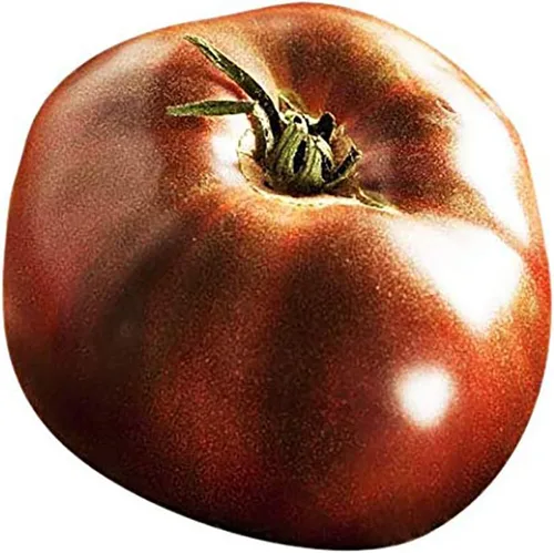Vista 4 de Black Brandywine Semillas de tomate reliquia, tomate grande, uno de los tomates más deliciosos para el cultivo en casa