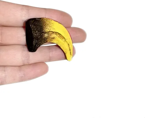 Vista 3 de Réplica fósil de garra de tamaño natural de dinosaurio Velociraptor