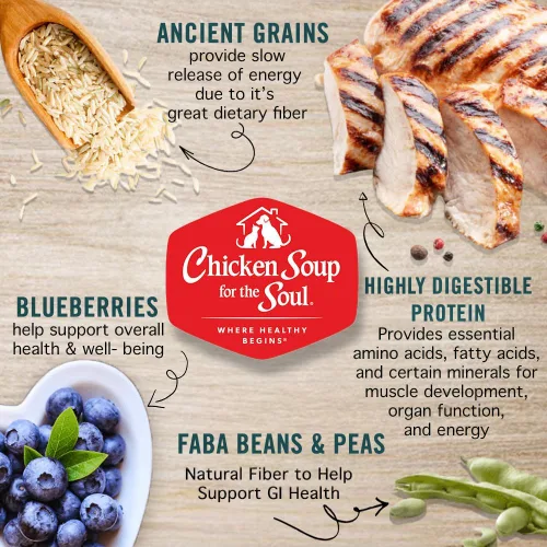 Vista 4 de Chicken Soup for the Soul All Natural Premium Small Bites - Alimento seco para perros mayores/maduros, primer ingrediente de carne real, sin