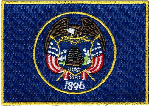 Vista 8 de Parche Bordado de la Bandera del Estado de Minnesota, Emblema MN, Planchado, Versión 2024