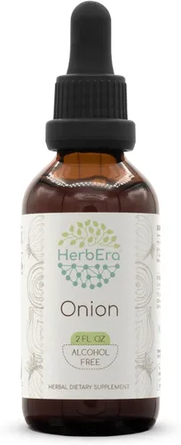 Cebolla B60 - Tintura de extracto de hierbas sin alcohol, gotas líquidas concentradas, bombilla seca de cebolla natural (Allium Cepa) (2 fl oz)