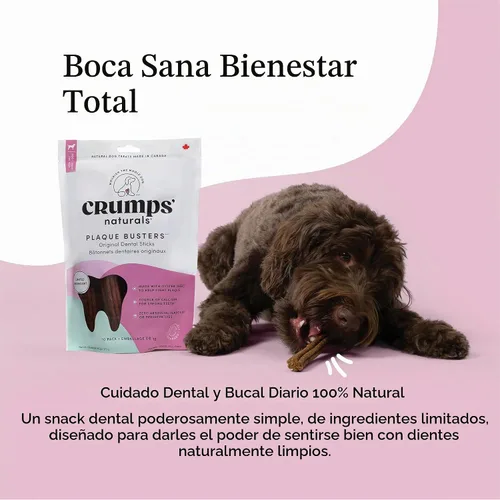 Vista 4 de Crumps' Naturals Plaque Busters Advanced - Palitos dentales para el cuidado de la boca entera, 9.5 onzas